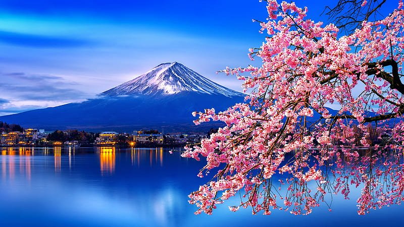 fuji-mountain