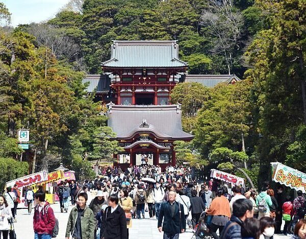Tsurugaoka Hachimangu Shrine entrance with tourists – Kamakura Japan day tour