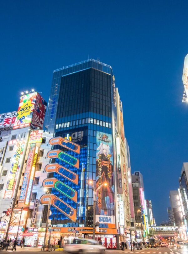 Akihabara electronic town district in Tokyo – Japan shopping and anime tour