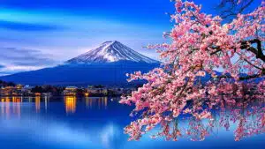 fuji-mountain